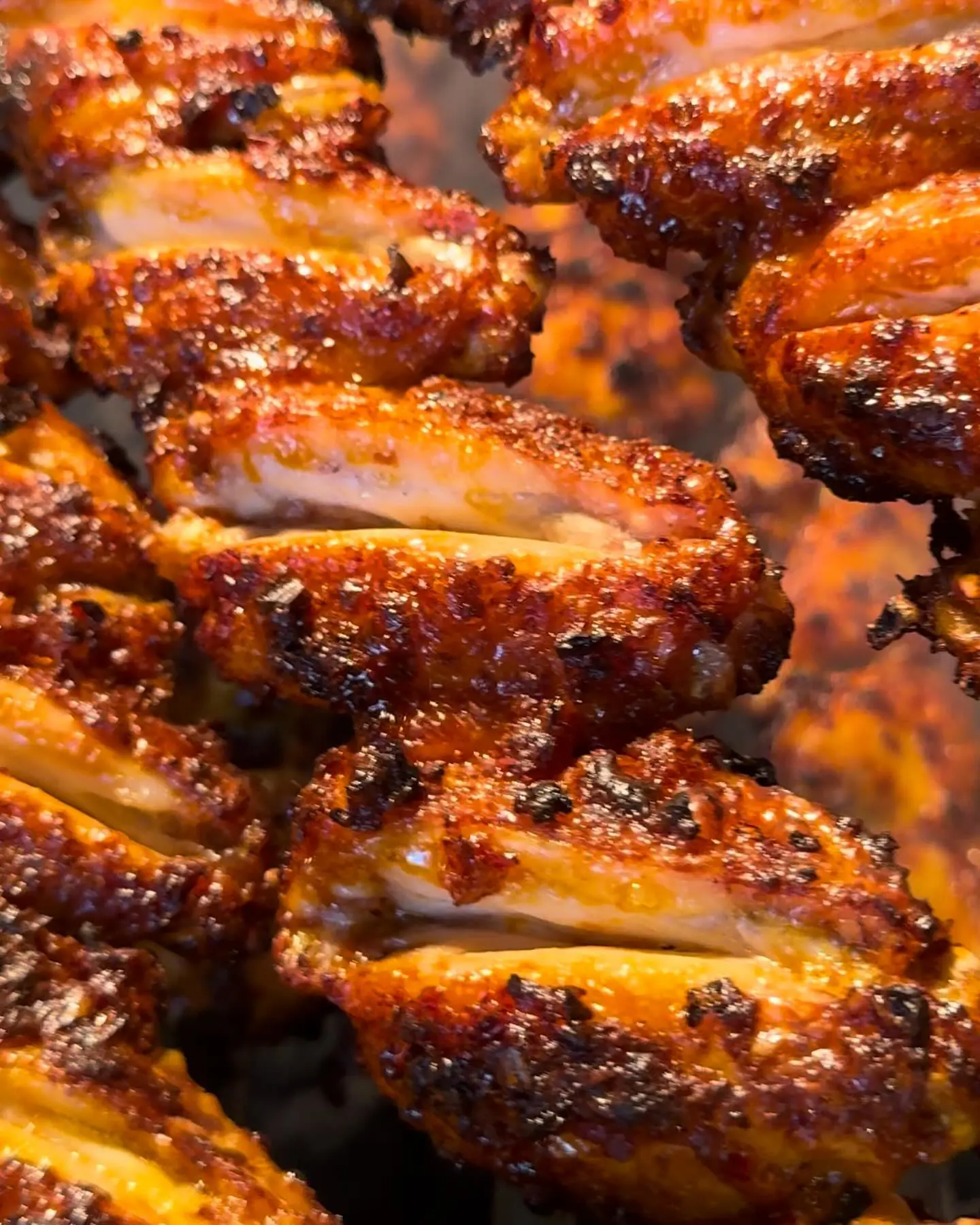 Kanatçı Tarık kanat sunumu